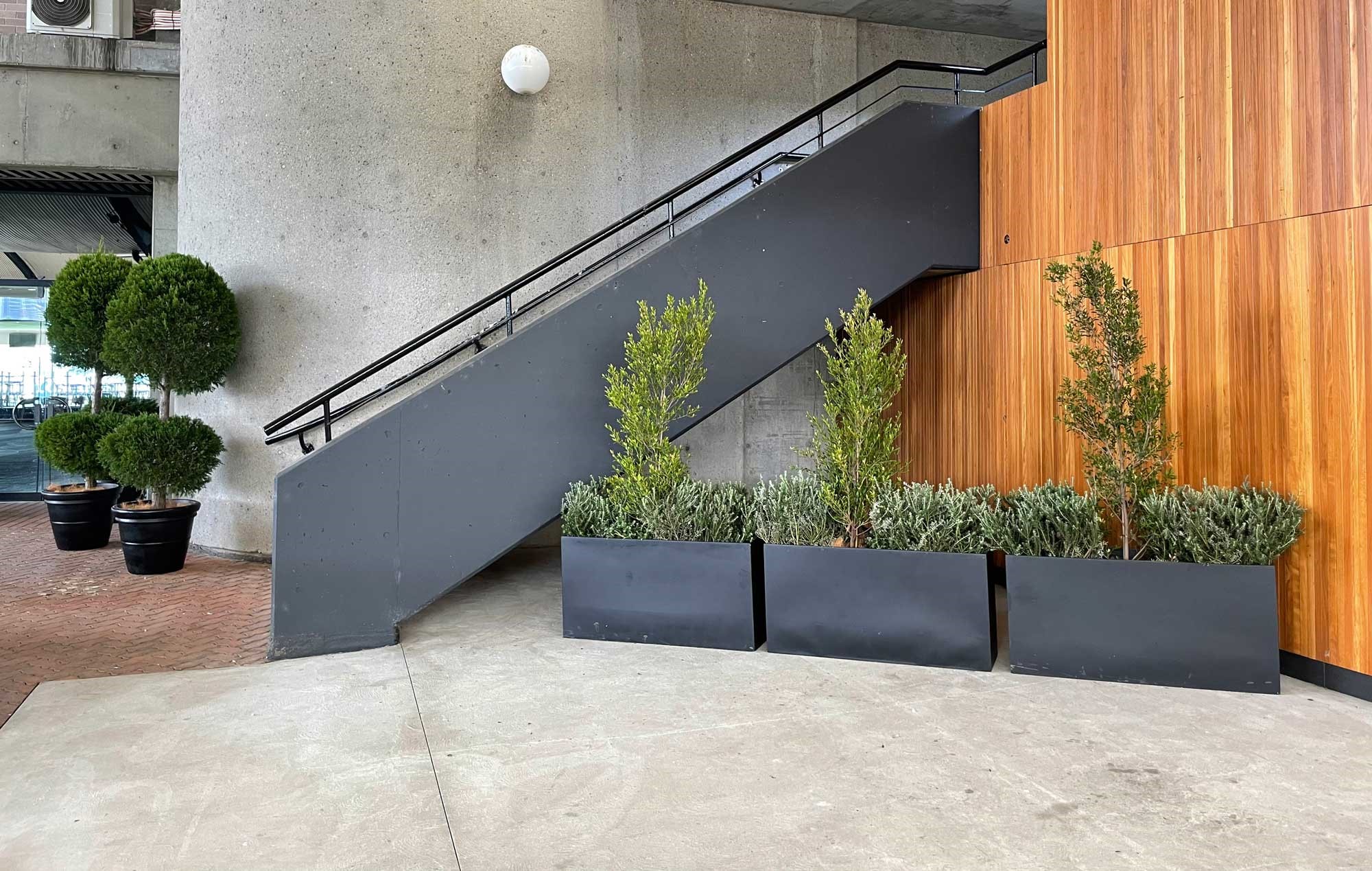 Seasonal Plant Rentals