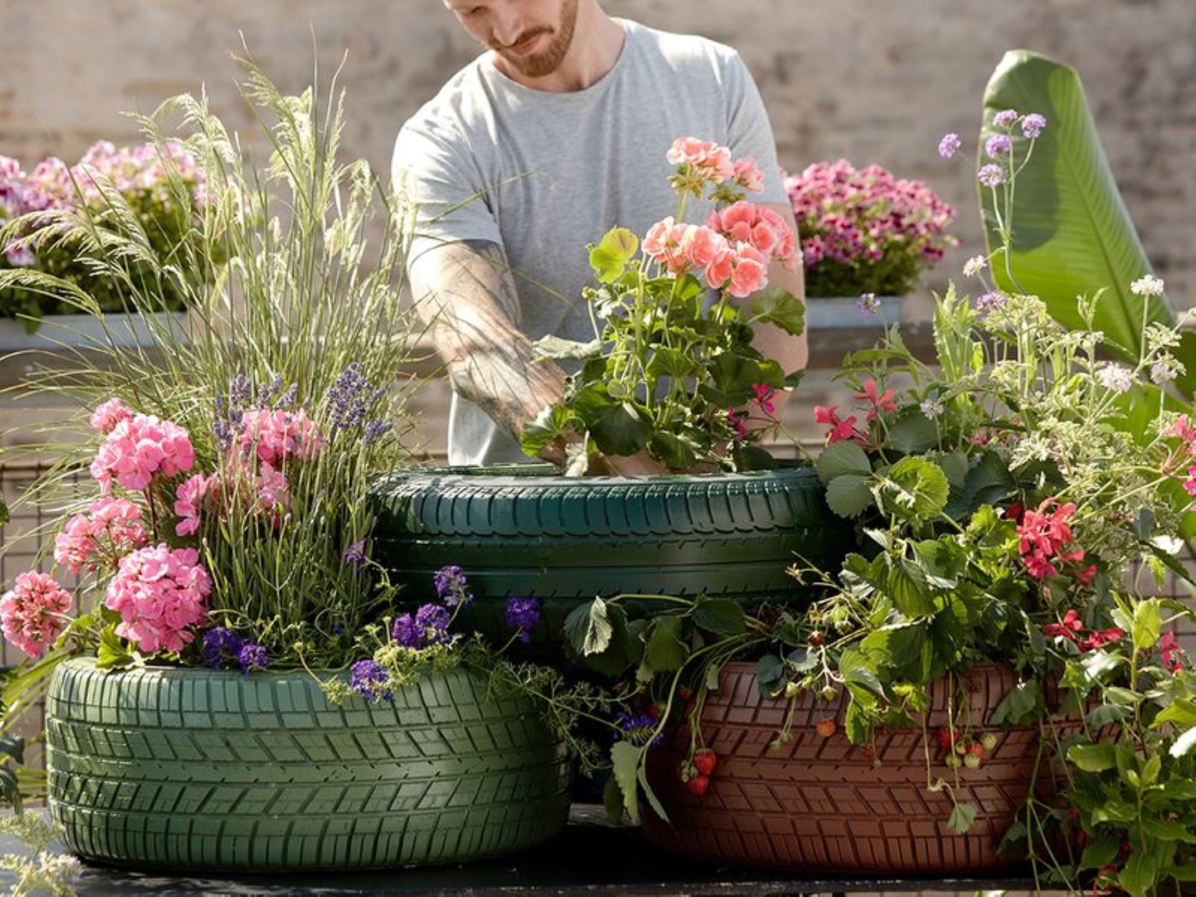 Stress-Free Event Plant Arrangements