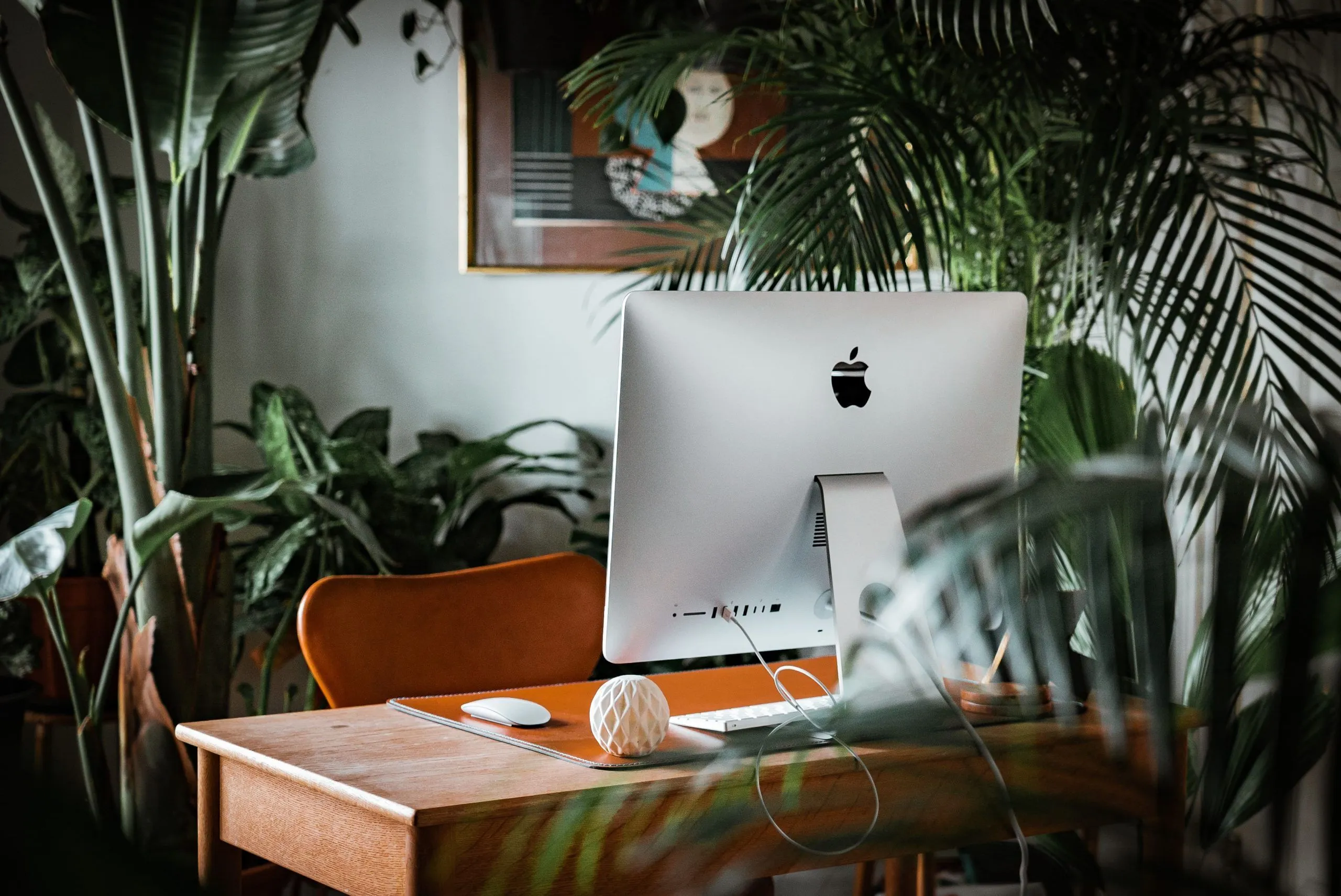 Plants Drive Productivity