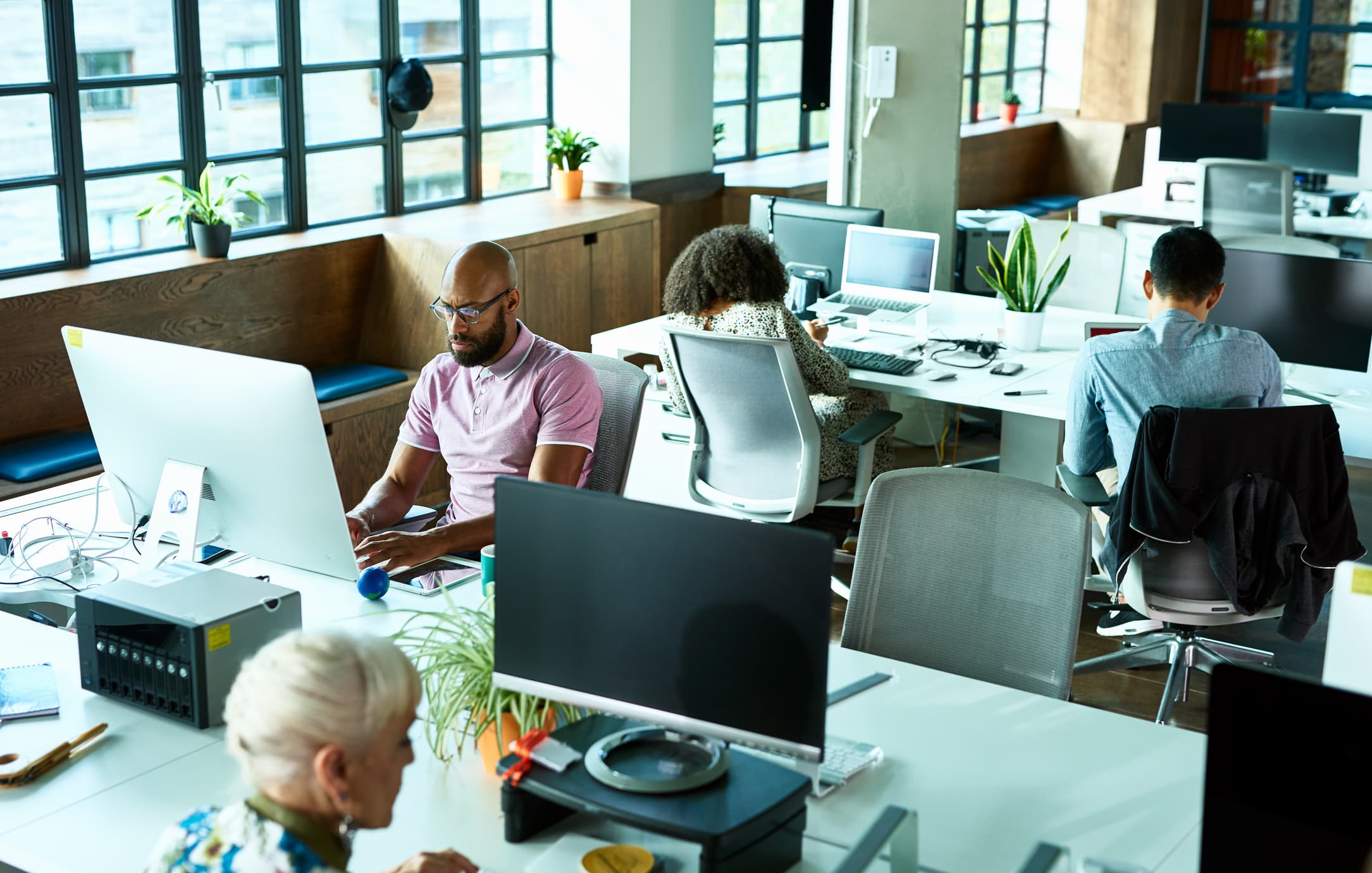 Plants Improves Employees Well Being