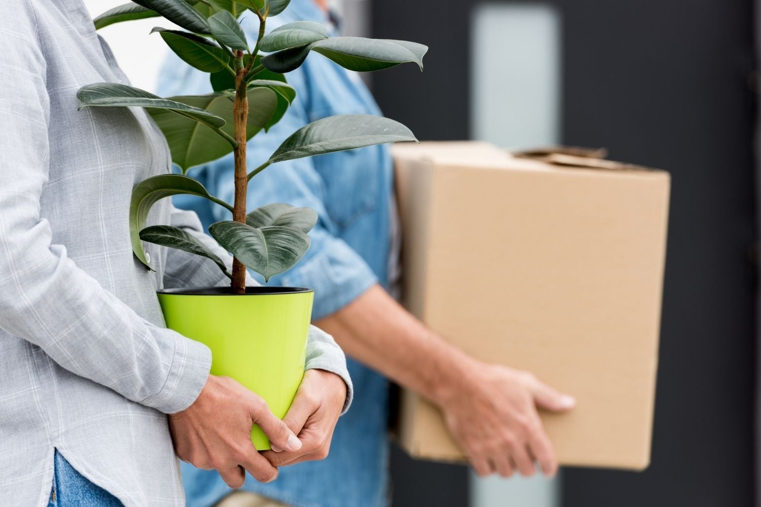 Free Delivery For Plant Rentals