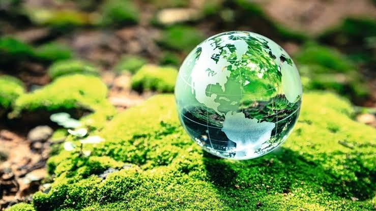 COP28 & Climate Change