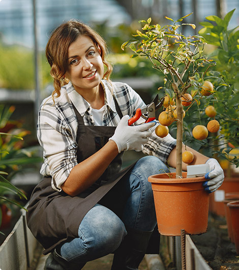 Choose Hope Plants