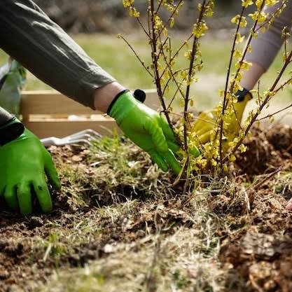 Reliable Plant Maintenance