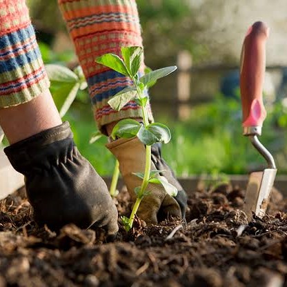 Plant Maintenance Services
