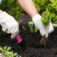 Tailored Solutions For Plant's Needs