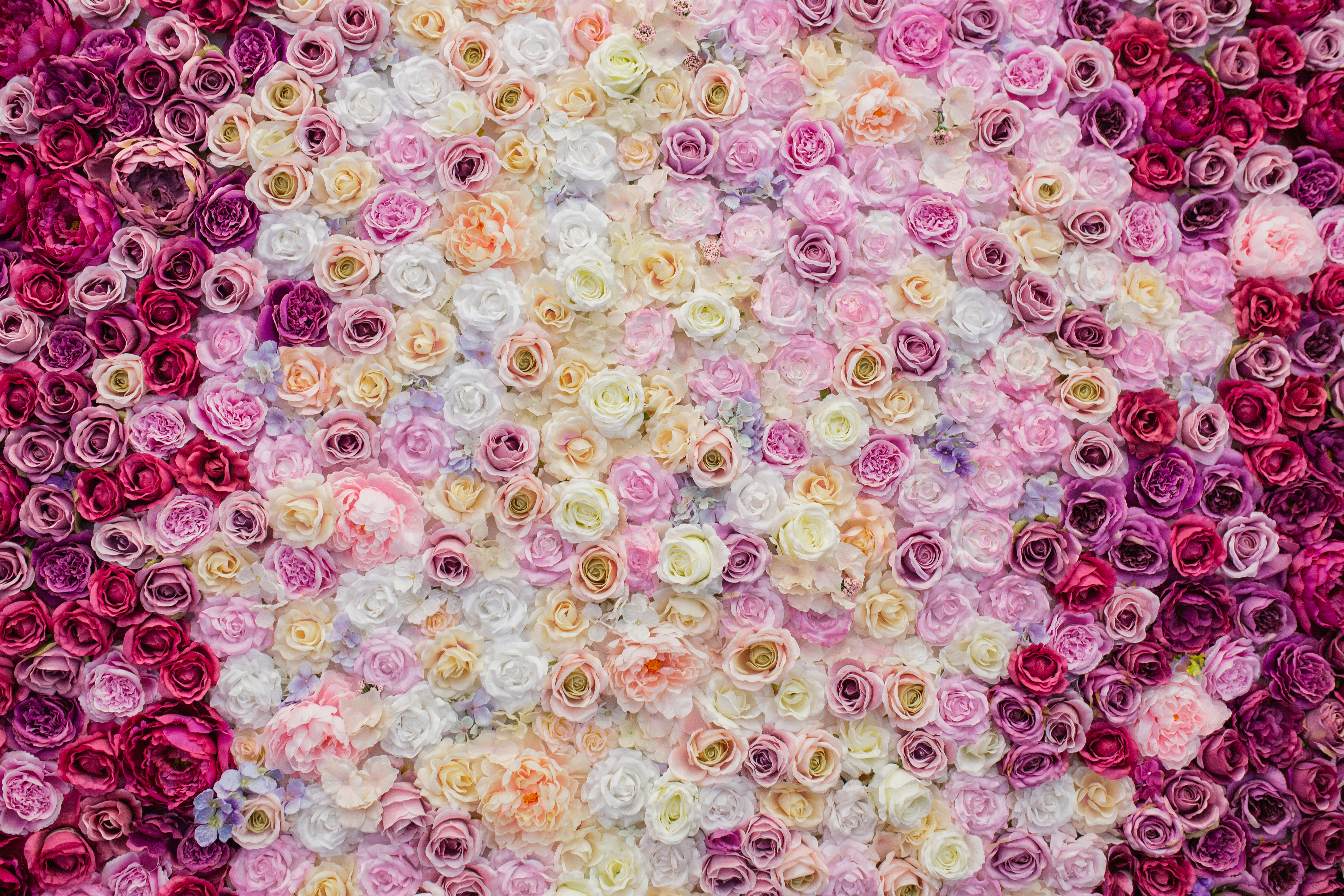 Floral Backdrop