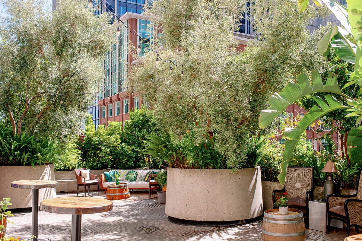 Seasonal Plant Rentals