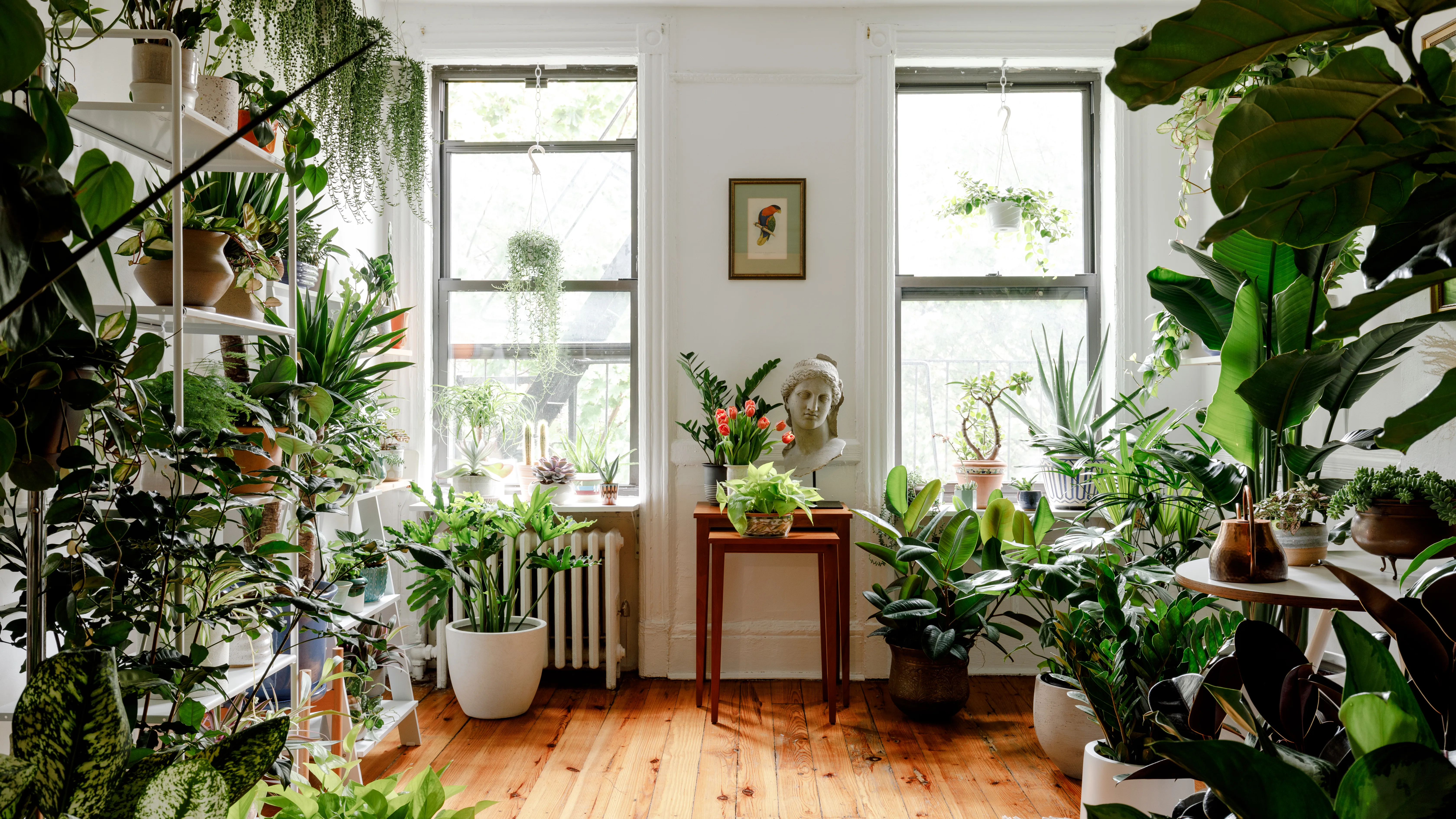 Hidden Benefits of Plant Rentals