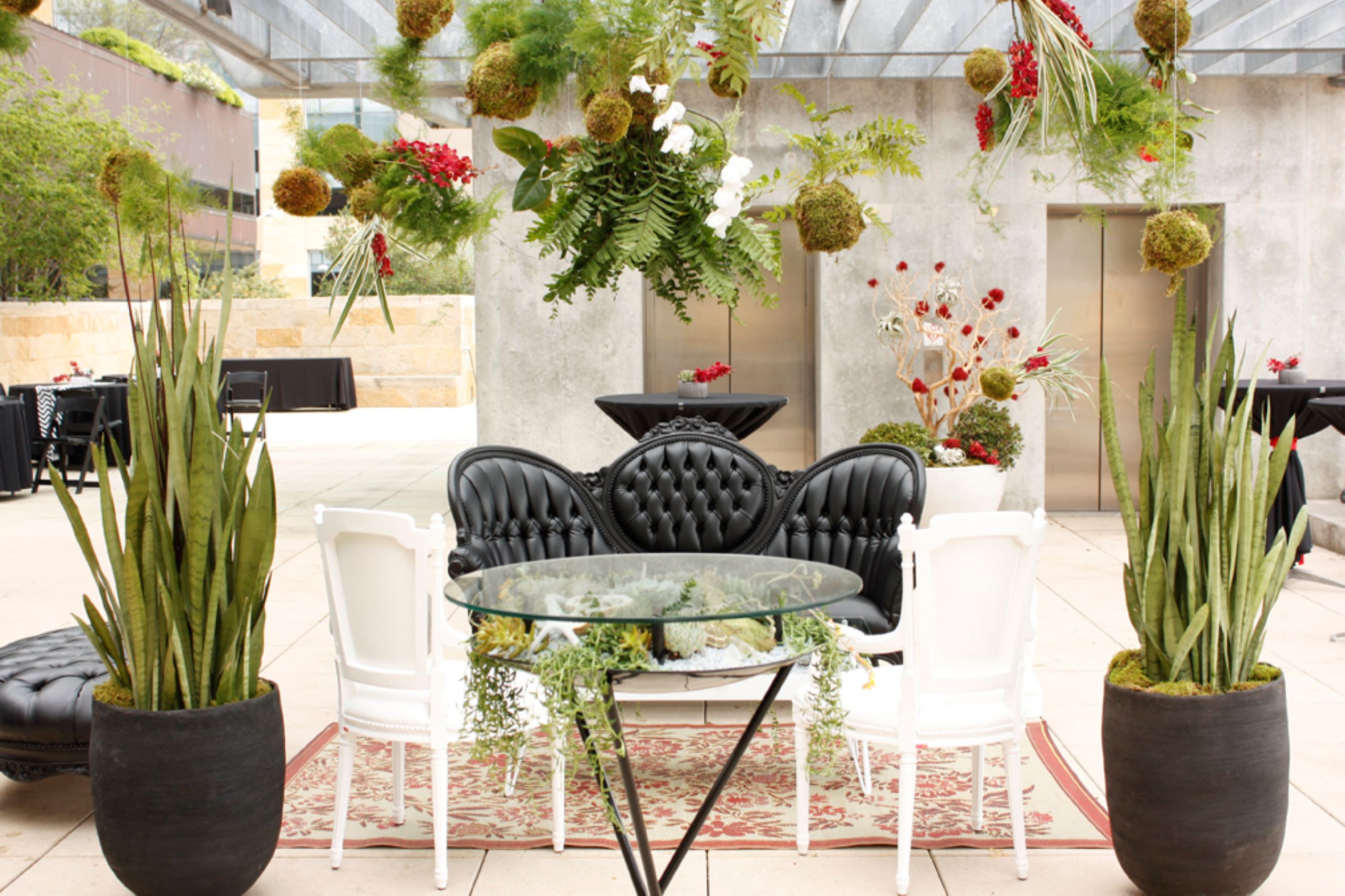 Stress-Free Event Plant Arrangements