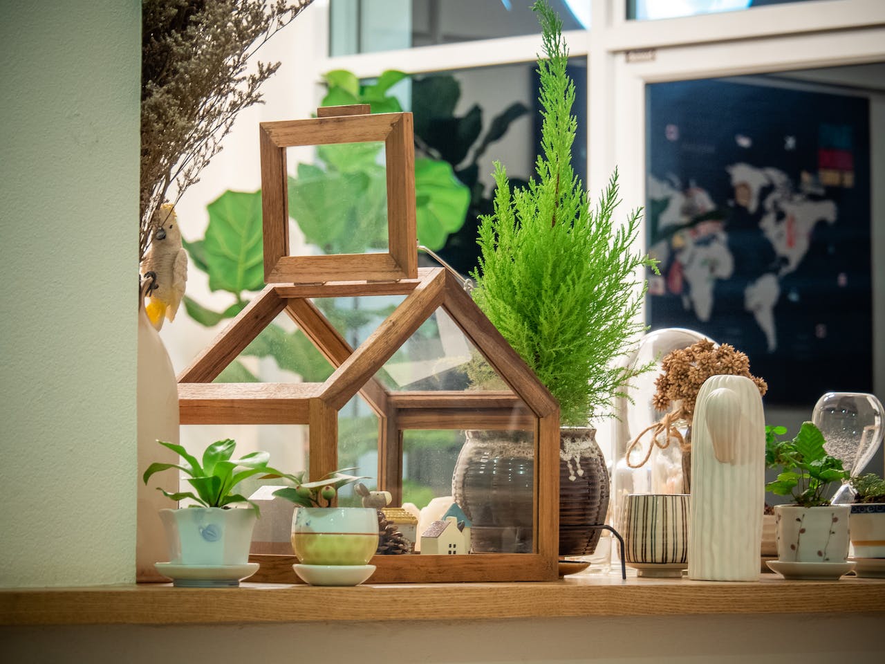 Transform Your Space With Plants