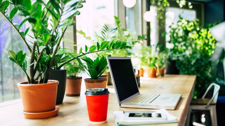 greenery-is-important-for-your-next-event