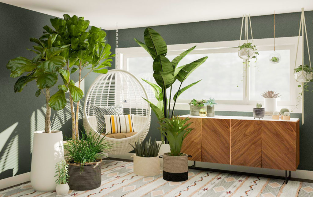 popular-plants
