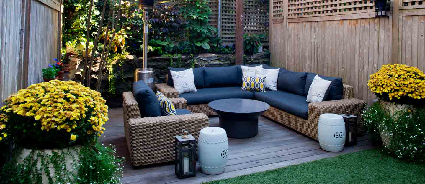 Top Plant Trends in Dubai